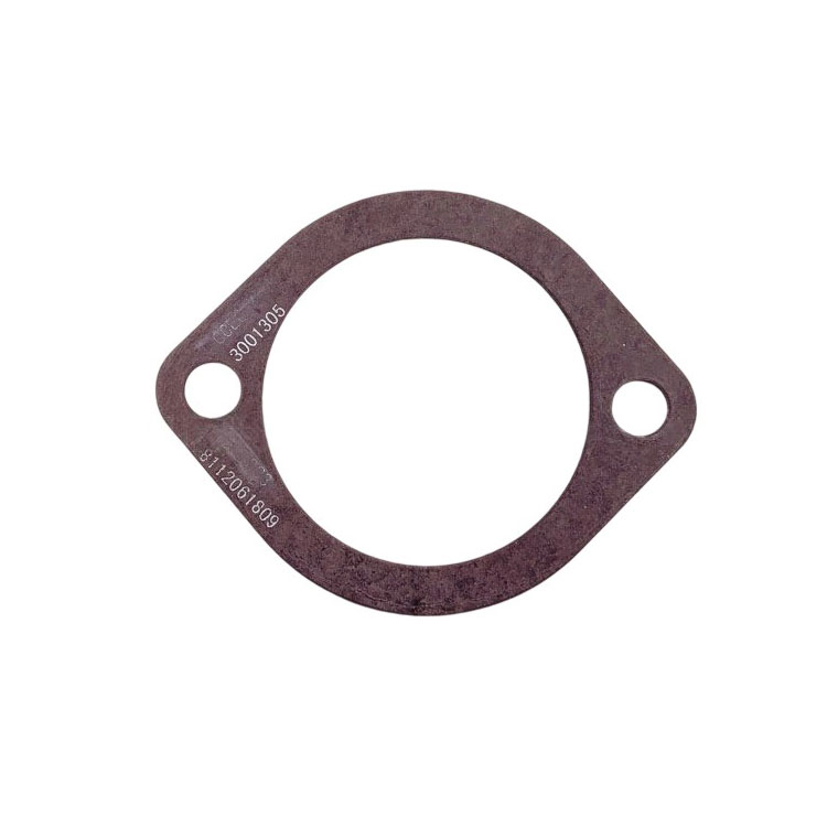 3001305 Connection Gasket